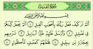 آیا میدانید سوره فیل چه گره هایی از زندگی شما باز میکند؟